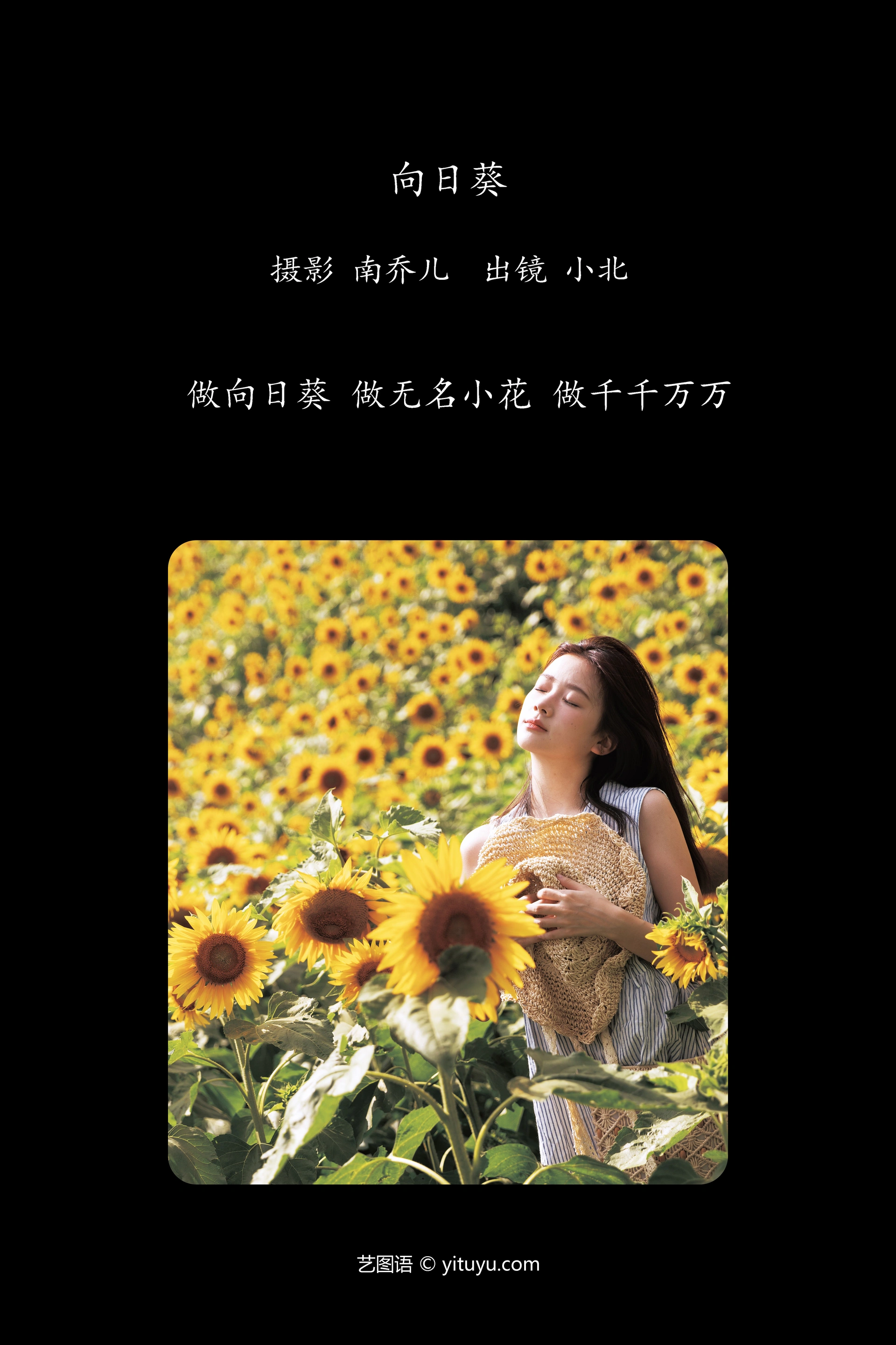 [YITUYU艺图语]2024.09.29 向日葵 To小北 0